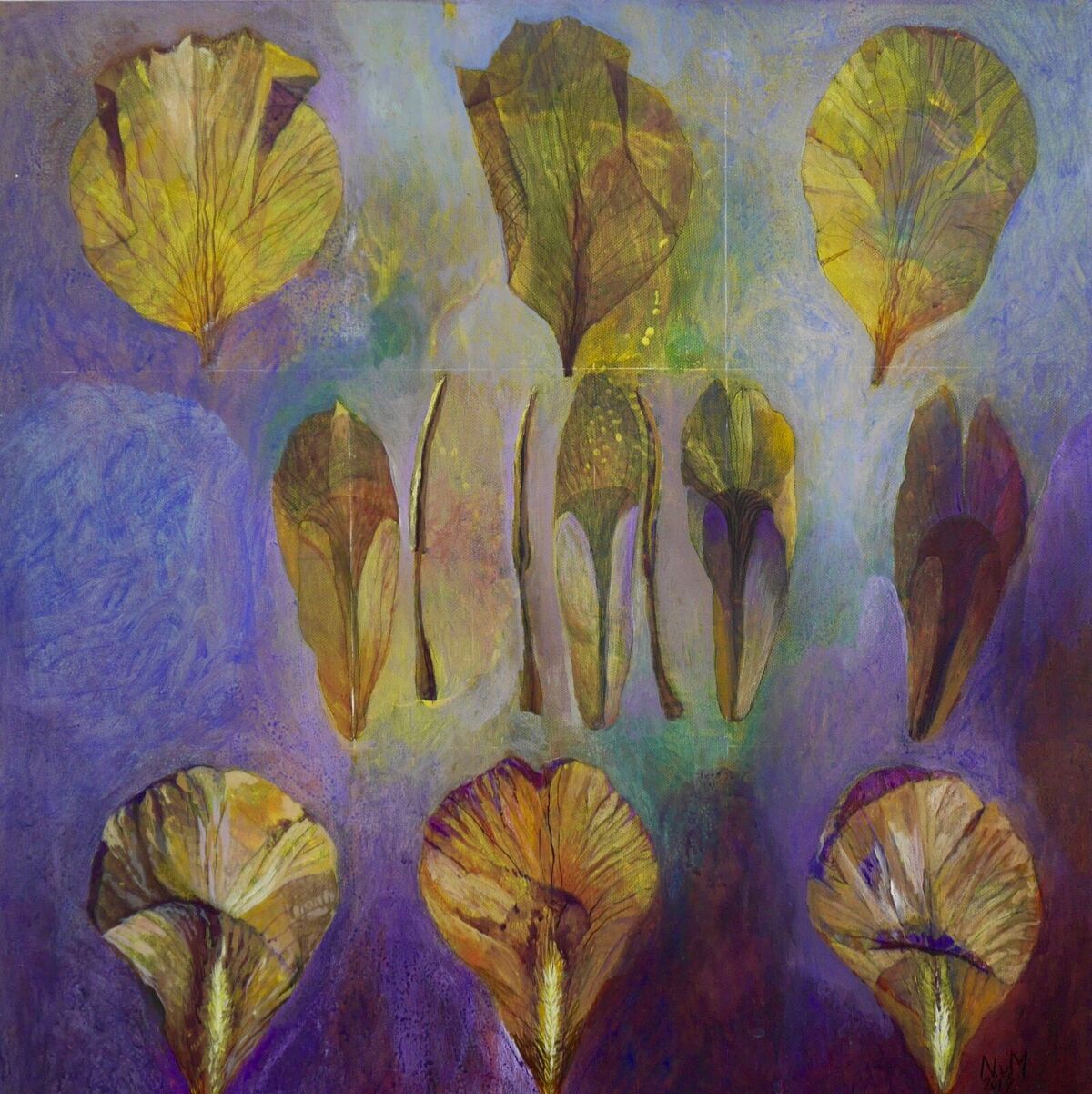 Irisblüte2019 Acryl Canvas 60x60cm Irisblüte2019 Acryl Canvas 60x60cm